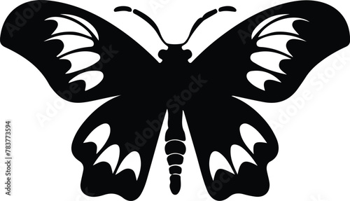 moth silhouette