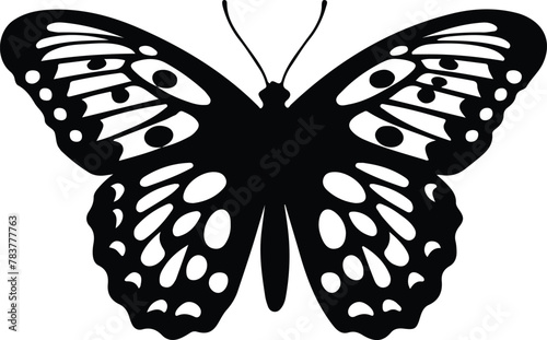 Oregon silverspot butterfly silhouette photo