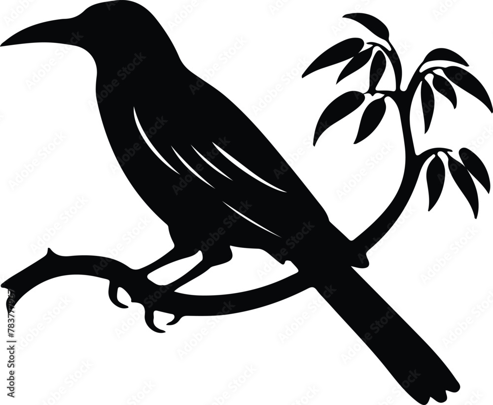 Naklejka premium oropendola silhouette