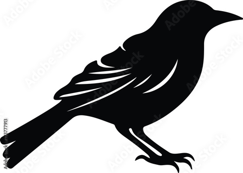 oriole silhouette