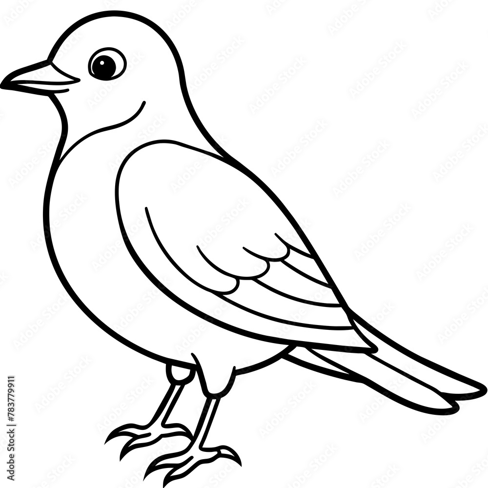 Bird vector illustration.
Bird vector illustration.