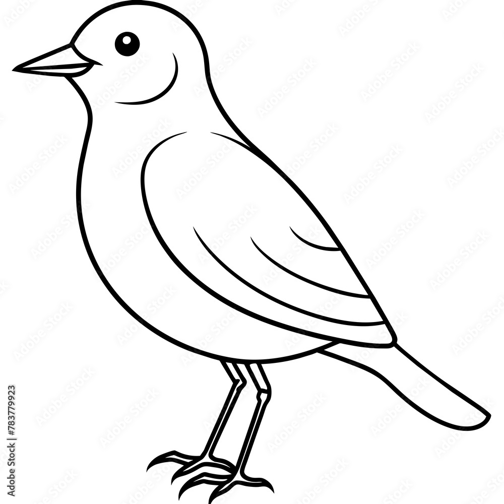 Bird vector illustration.
Bird vector illustration.