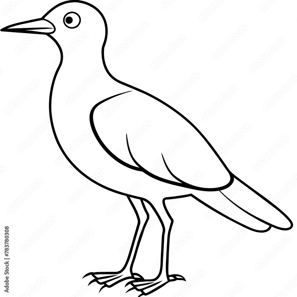 Obraz premium Bird vector illustration. 