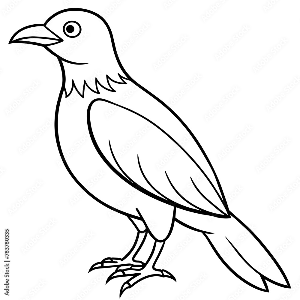 Obraz premium Bird vector illustration. 