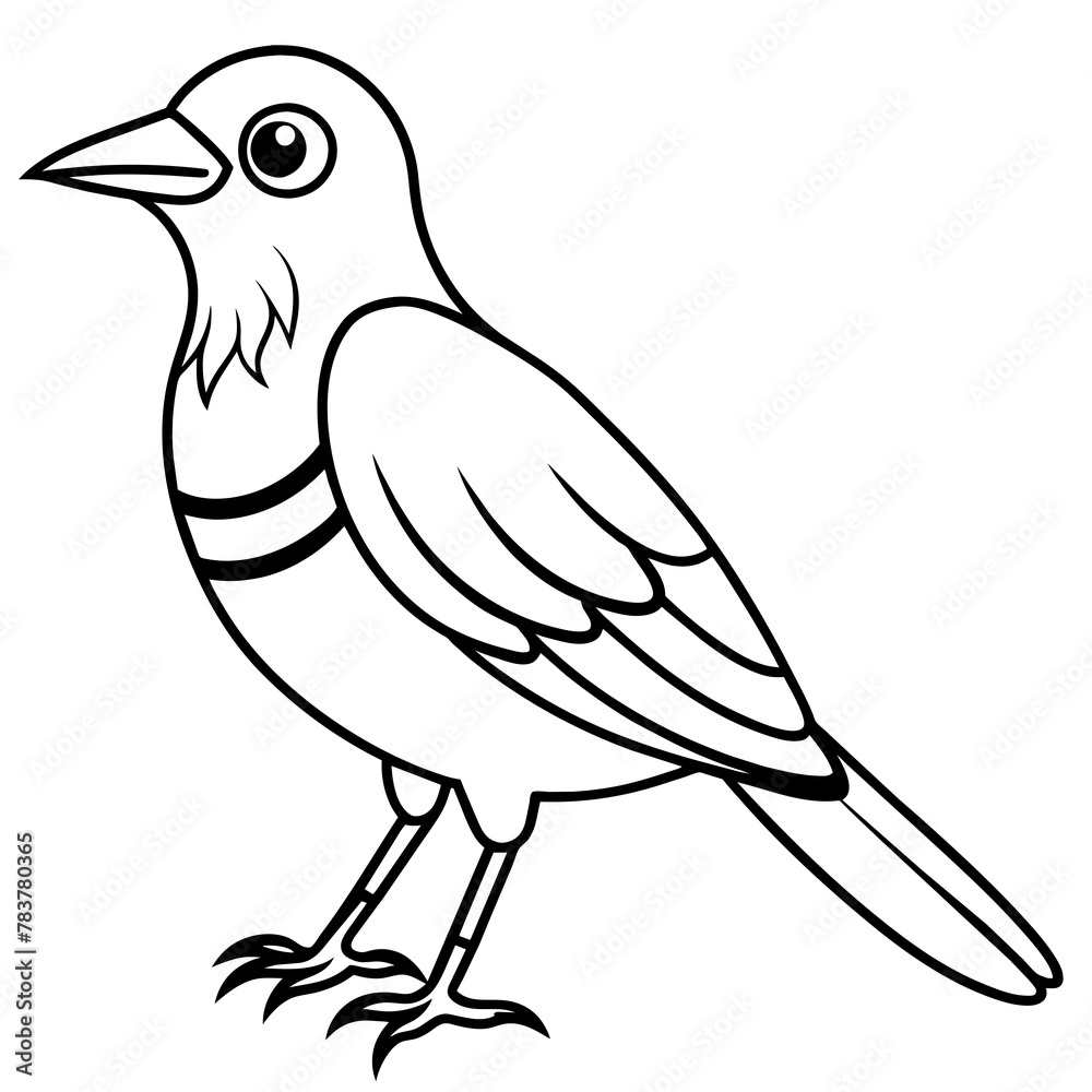 Bird vector illustration.
Bird vector illustration.