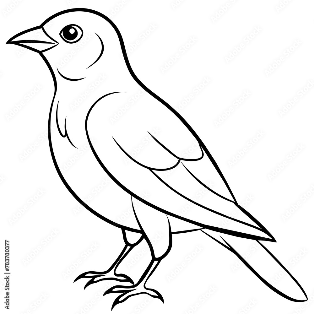Bird vector illustration.
Bird vector illustration.