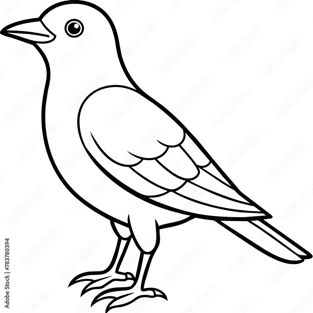 Obraz premium Bird vector illustration.