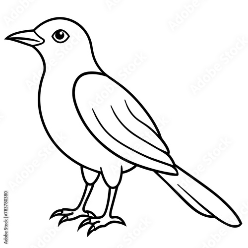  Bird vector illustration.