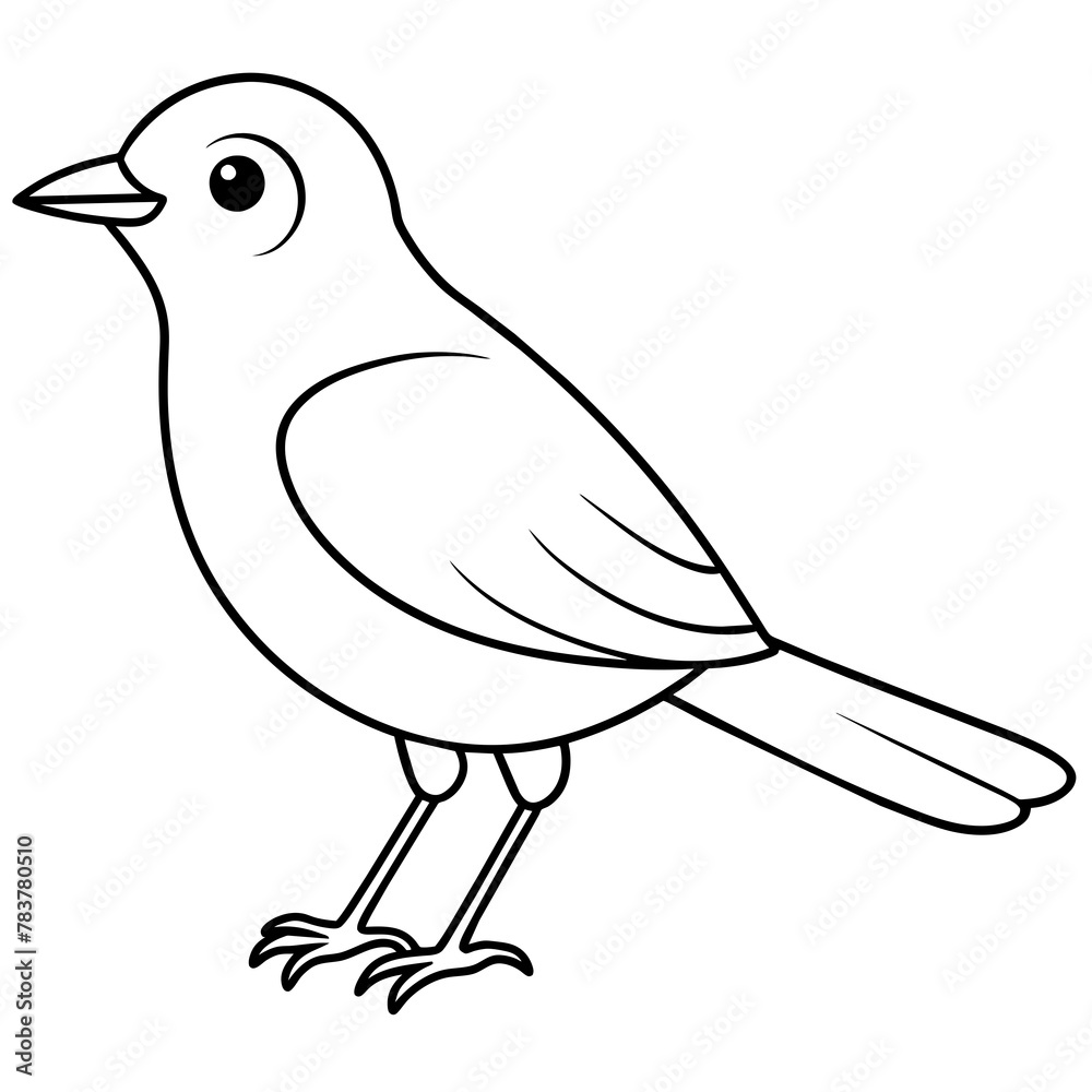 Fototapeta premium Bird vector illustration.