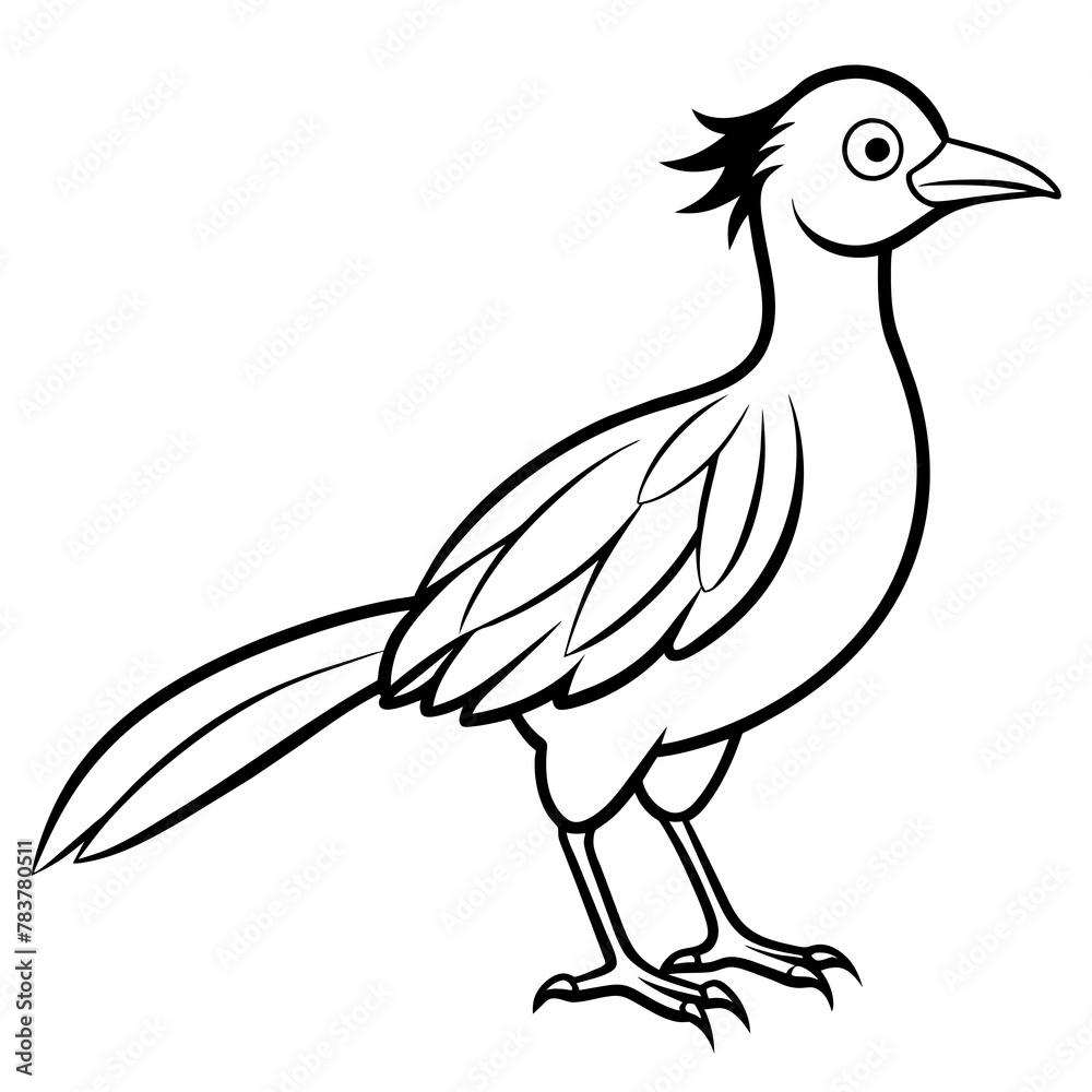 Fototapeta premium Bird vector illustration.