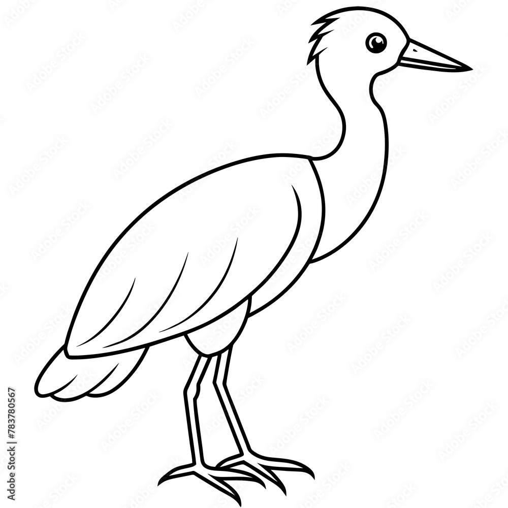 Fototapeta premium Bird vector illustration.