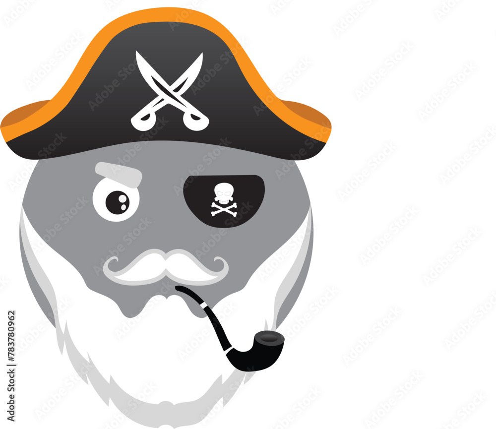 Pirate Head