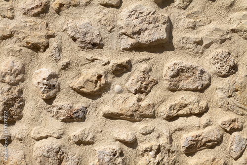 Conchiglia fossile nel muro di pietra photo