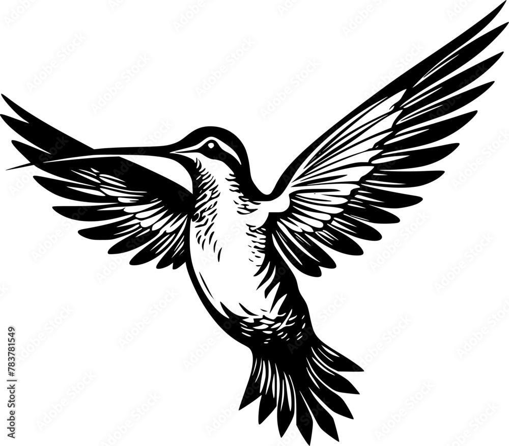 Hummingbird - High Quality Vector Logo - Vector illustration ideal for T-shirt graphic Hummingbird - High Quality Vector Logo - Vector illustration ideal for T-shirt graphic