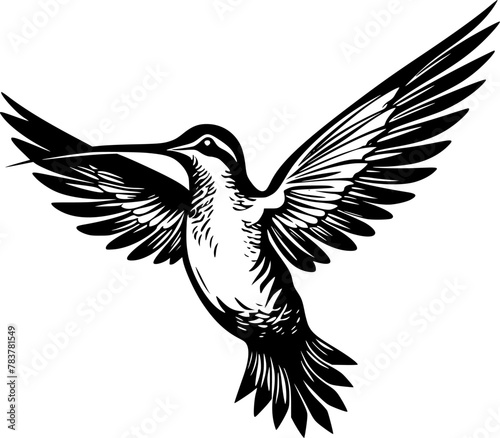 Hummingbird - High Quality Vector Logo - Vector illustration ideal for T-shirt graphic