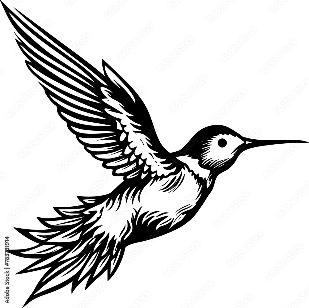 Obraz premium Hummingbird | Black and White Vector illustration
