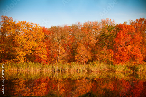 Bright colors of autumn in the park by the lake with ducks