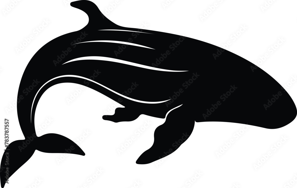 right whale silhouette right whale silhouette