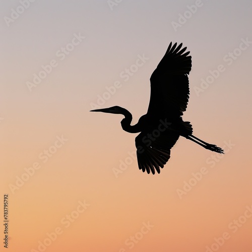 Silhouette of a bird in flight against a clean