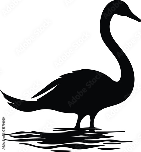 trumpeter swan silhouette