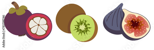 color isolated fruits collection in flat style in vector. image of natural healthy eco raw food.template for logo sticker poster print decor design