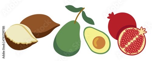 color isolated fruits collection in flat style in vector. image of natural healthy eco raw food.template for logo sticker poster print decor design