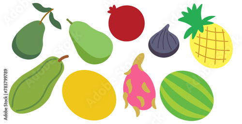 color isolated fruits collection in flat style in vector. image of natural healthy eco raw food.template for logo sticker poster print decor design