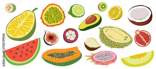 Fototapeta Naklejka Na Ścianę i Meble -  color isolated fruits collection in flat style in vector. image of natural healthy eco raw food.template for logo sticker poster print decor design