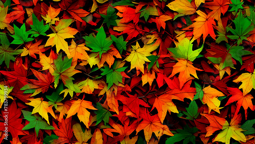 autumn leaves background