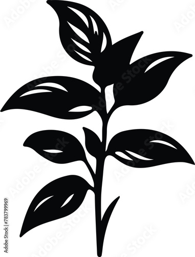 basil silhouette