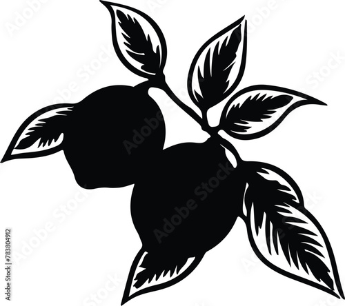 citron silhouette