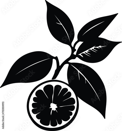citron silhouette
