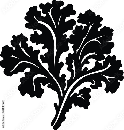 kale silhouette