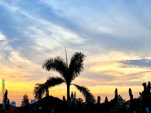 Beautiful and colorful sunset sky with silhouettes of palm tree, and house rooftops with city skylines at the background. Dawn sunset ember sky blend or yellow, orange, gold, blue, and purple color.
