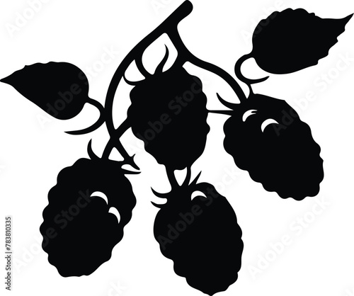 mulberry silhouette photo