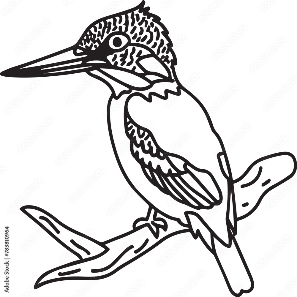 Obraz premium Kingfisher coloring page. A black and white drawing of kingfisher.