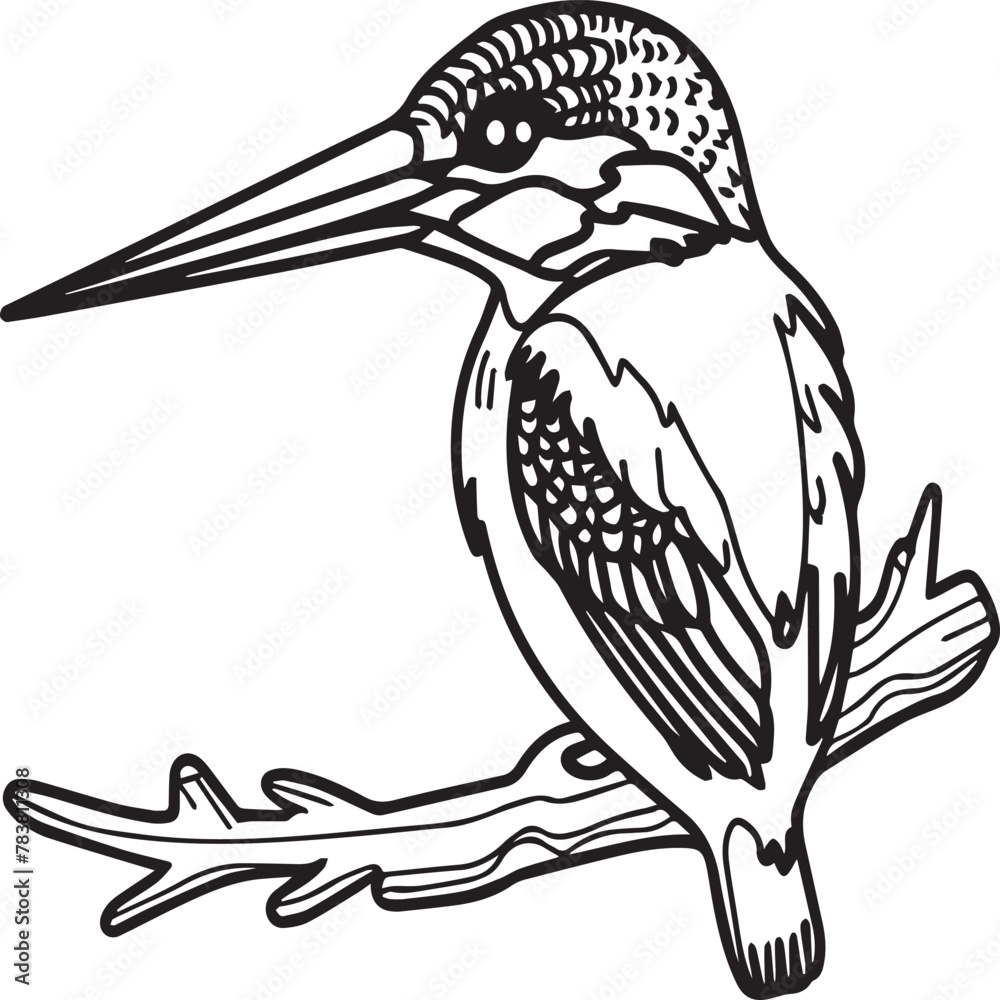 Obraz premium Kingfisher coloring page. A black and white drawing of kingfisher.