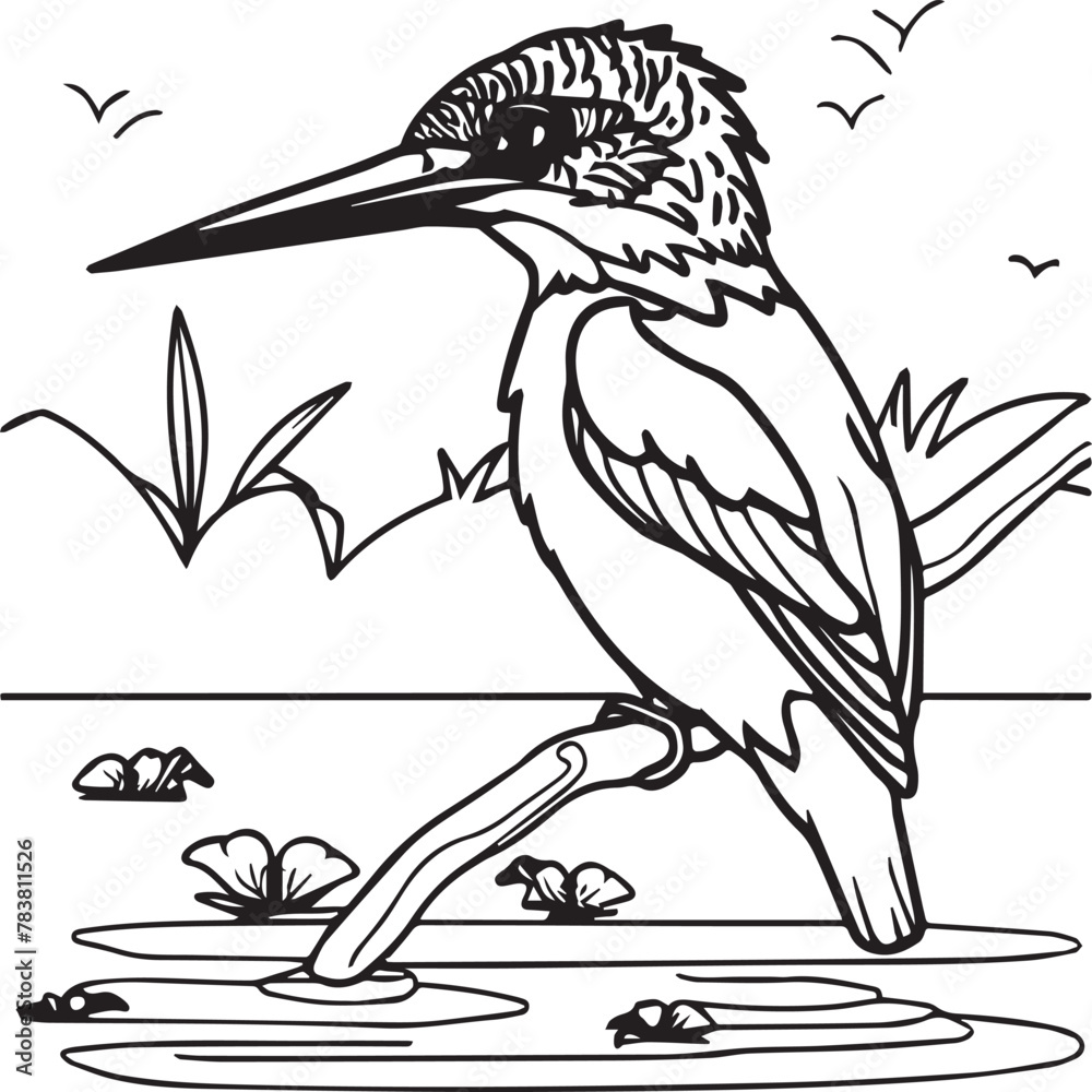 Fototapeta premium Kingfisher coloring page. A black and white drawing of kingfisher.