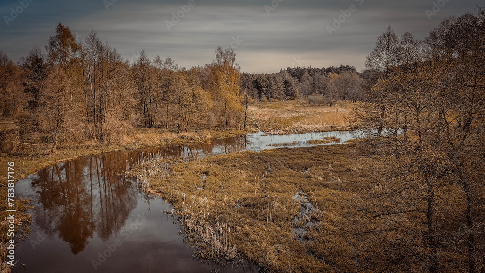 A small wild river in central Poland. A small wild river in central Poland.