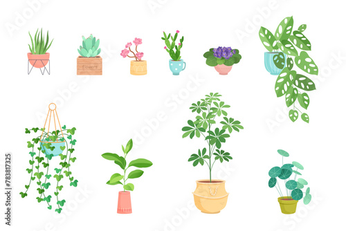 Potted plants vector illustration set. Houseplants. Indoor interior house and office flowerpots. Green flowers for home decoration. Cozy landscaping