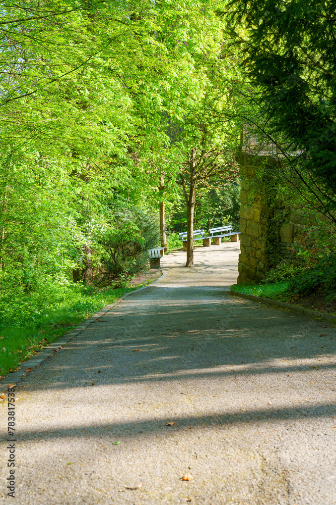 pathway in the park