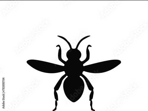 wasp silhouette