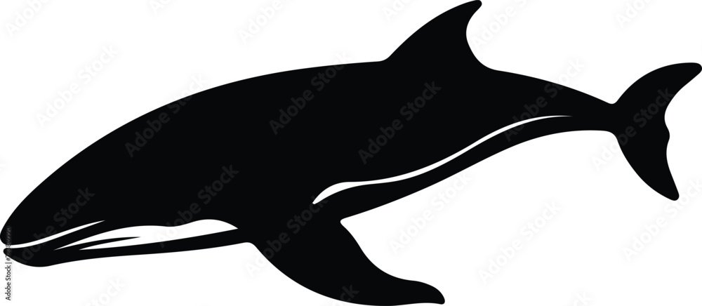 Fototapeta premium whale silhouette