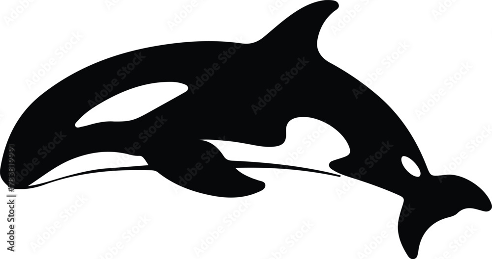 Obraz premium whale silhouette