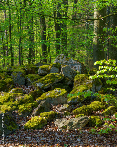 moss covered rocks