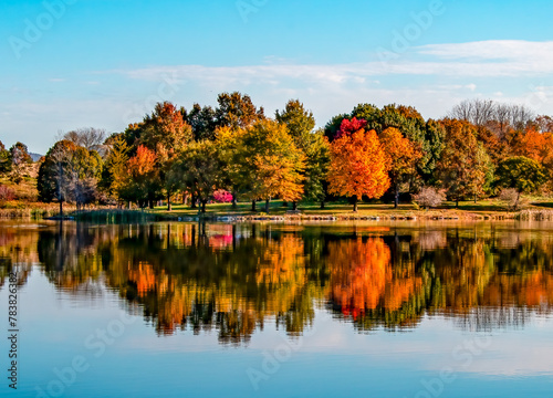 Autumn morning reflection at Leaser Lake PA photo