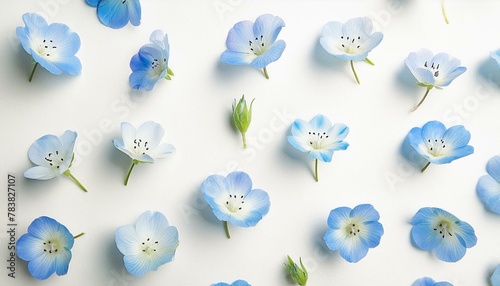 ネモフィラの素材