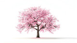 Serene Solitude: Striking Cherry Blossom Tree in Full Bloom Isolated on a Pure White Backdrop