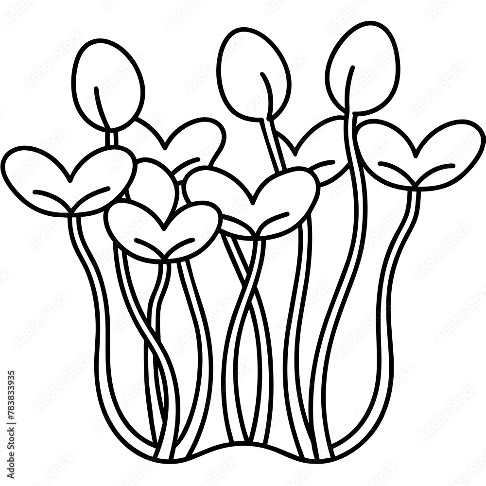 vector illustration of a flower, sprouts bean vector illustration of a flower, sprouts bean