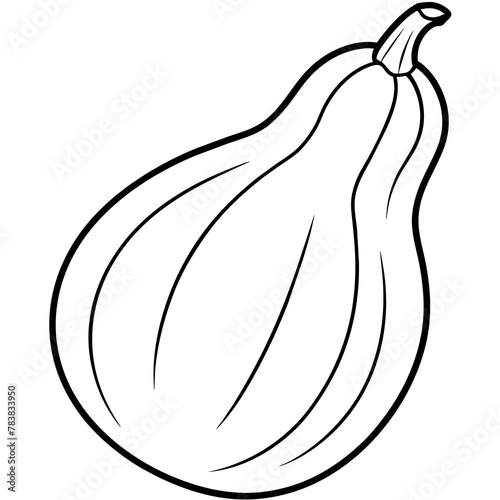 vector illustration of a squash 